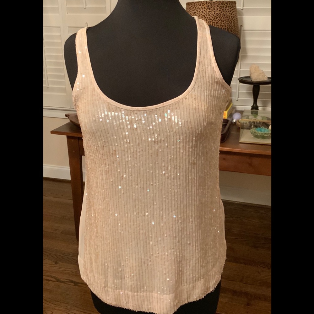 J. Crew Lightly Sequined Beige/Gold Top🌟Size 2 - Picture 3 of 14